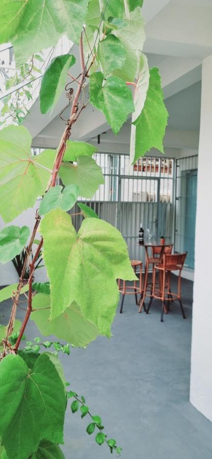 Apartment Aconchego Salmao *